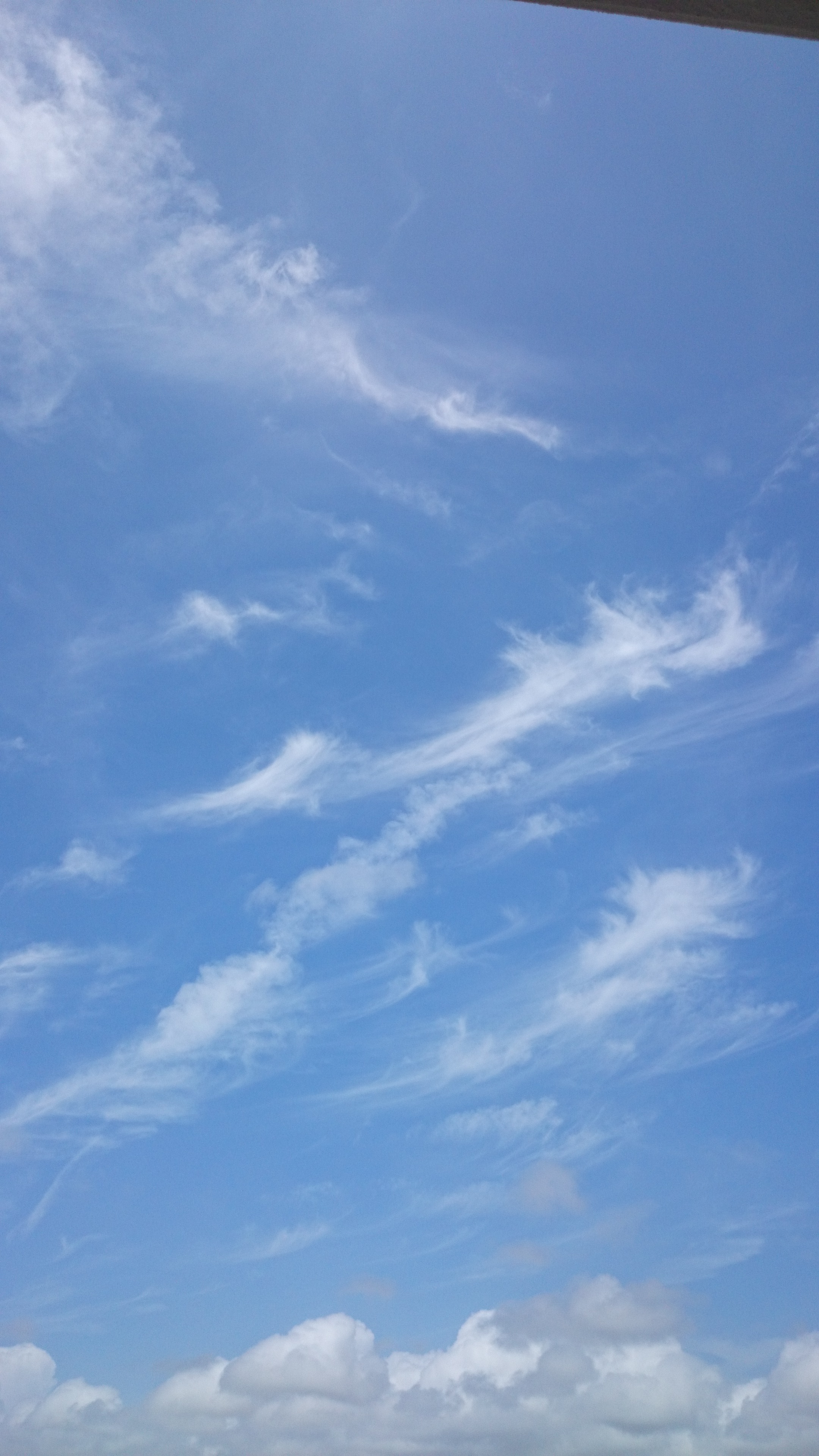 H27.07.01（水）雲