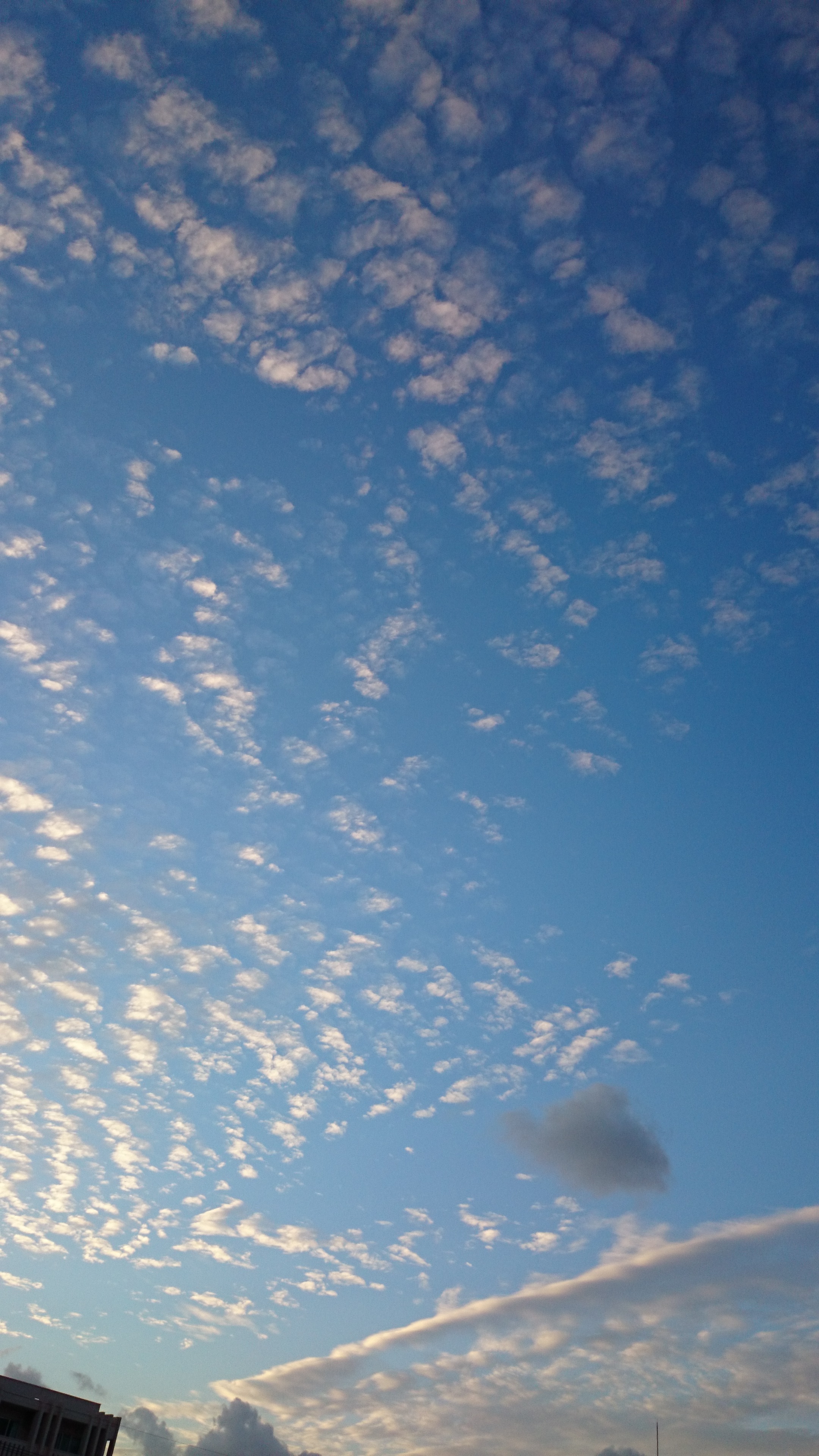 H27.10.19（月）雲