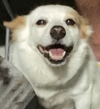 あなたらしく。