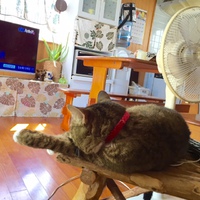 めまい。