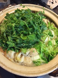 豆苗、ビミョー。