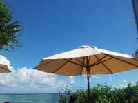 島やさいカフェin石垣島 2013/08/27 14:29:20