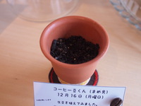 ＜豆日記＞　これは！？