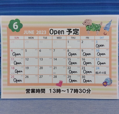 ６月のopen予定