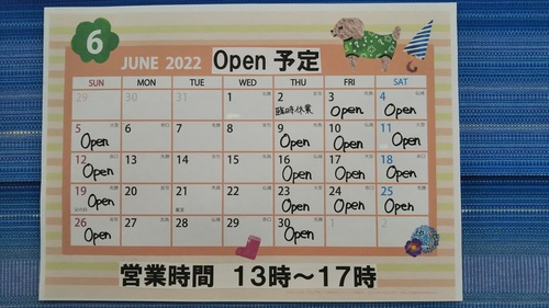 6月のopen予定のお知らせ