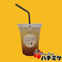 （1/18）・（1/19）♡『海洋博マルシェ』両日出店者㉑スパイスカレー・クラフトコーラなど＝スパイスカレー ハチミツ