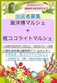 冬のイベント『海洋博マルシェ＋椛ココライトマルシェ』出店者募集のお知らせ 2024/11/08 16:23:52