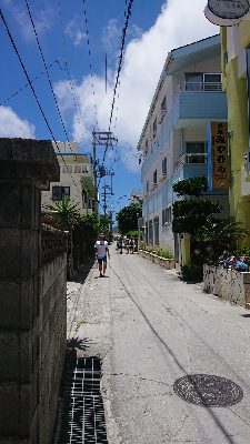 帰ってきました