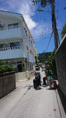 帰ってきました‼️