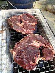 BBQ  ♪