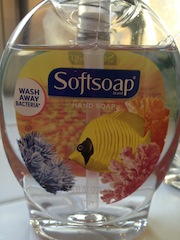 soft soap  ♪