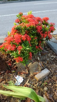 写真 2015/09/09 16:28:32