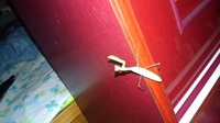 カマキリ 2015/09/29 23:41:25