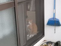 熱い視線‥ 2017/06/26 21:56:19