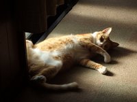 リラックスしすぎ‥ 2017/06/27 17:42:36