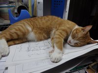 もうすぐ２歳！ 2017/06/25 14:23:20