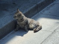 半年ぶりの更新！？ 2017/06/25 14:14:20