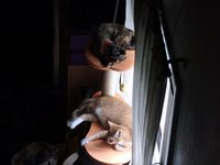 タワーでひと休み。。 2016/09/19 20:57:01
