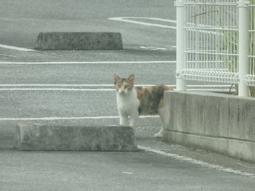 警戒してます‥
