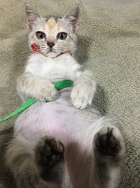 元気すぎて‥ 2017/07/10 09:20:00