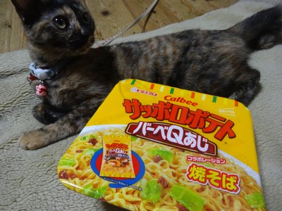 なんだコレは！！
