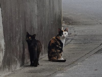 カメラ目線！？