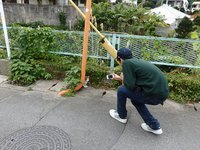 恥ずかしがり屋の猫 2017/01/12 09:33:27