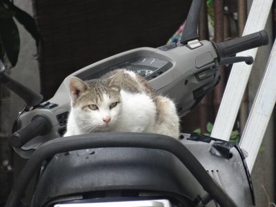 2月22日の記事