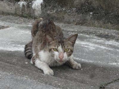 警戒してます！