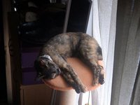 安定感バツグン！？ 2016/09/21 09:09:10