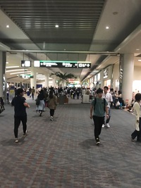 出張、台風中 2017/10/23 17:41:30