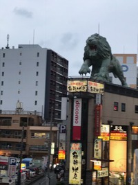 川口 2019/05/21 19:51:27