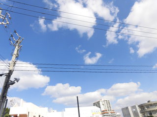 こんな晴れた日は！！！
