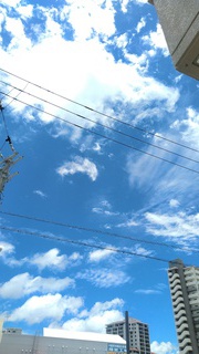 ヽ(^o^)丿何か…違う感じしません！？