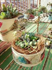まだまだ٩( 'ω' )و 2015/11/12 11:22:53