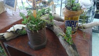 甘さ控えめ(´; ω ;`) 2016/06/11 15:15:16
