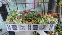 ゴホゴホ（´ρ｀*） 2016/04/13 21:49:07