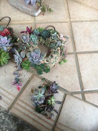 ∑(๑º口º๑)!!ギャッ 2017/02/15 18:39:53