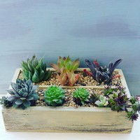 夏がくるー( ;´ω` A;) 2016/06/21 08:01:43