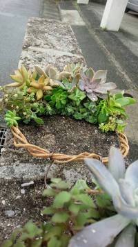 キラキラ.｡ﾟ+.(･∀･)ﾟ+.ﾟ 2015/12/14 19:35:31