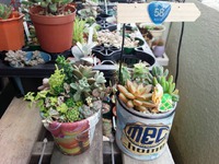 ムフゥー(*´˘`*)♡しあわせー 2015/03/14 22:28:49