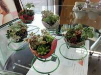 お手入れ 2015/04/25 18:53:00