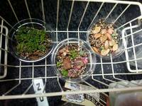 ほくほく(*ˊ˘ˋ*)｡ 2015/05/02 22:26:26