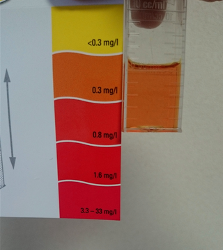 水質検査 ある日 突然メダカに恋をした