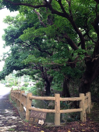 今帰仁城址へ続くハンタ道親川