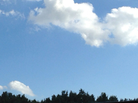晴れた〜 2015/09/11 15:27:21