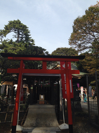 布多天神社 2015/11/01 18:19:00