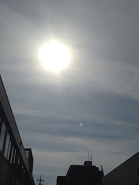 111太陽の光いっぱい