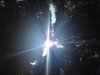 太陽が煌めいていた