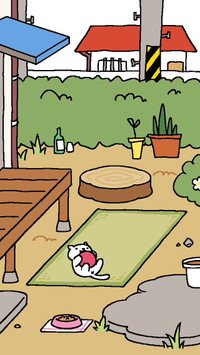 ねこあつめに白猫ちゃんがやって来た